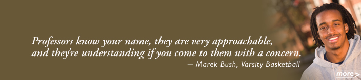 Marek  Bush